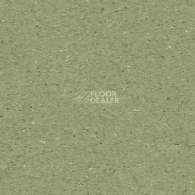 Линолеум Tarkett iQ Granit FERN 0405 фото 1 | FLOORDEALER